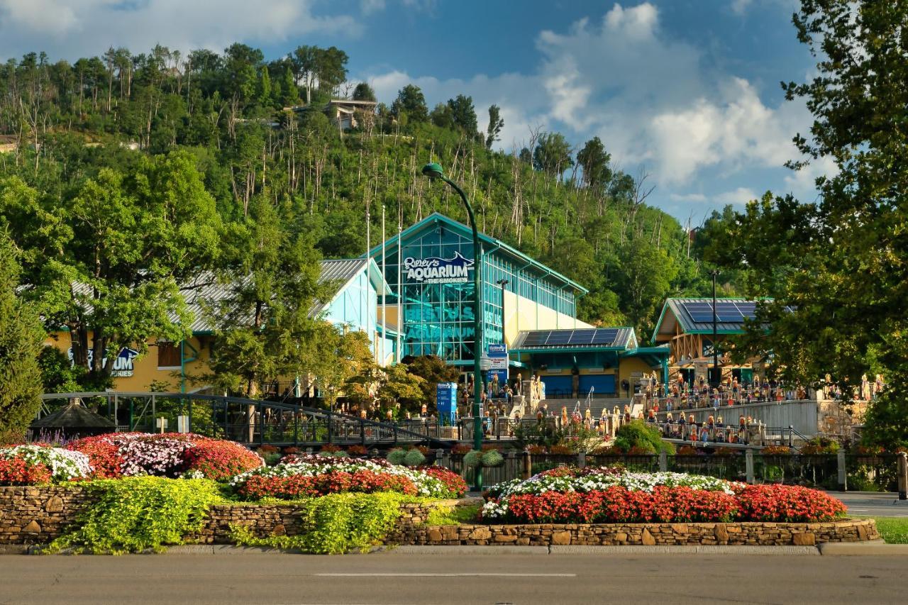 Peak Paradise Gatlinburg Mountain View المظهر الخارجي الصورة